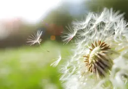 Equinoccio de primavera: demos espacio para lo nuevo.