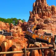 Sucedió en Magic Kingdom, en Florida. El animal ingresó al parque y tuvieron que cerrarlo temporalmente.