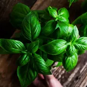 Dónde poner albahaca para atraer prosperidad, según el feng shui.