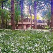 La Casa sobre el Arroyo, de Mar del Plata al MoMA.