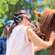 Coaching con caballos para desconectar de la ciudad y conectar con nosotros mismos y el entorno natural.