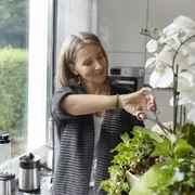 Qué significa tener una orquídea en casa.