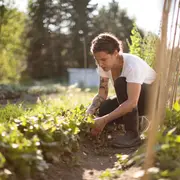Con este truco casero vas a eliminar las hormigas de tu jardín para siempre.