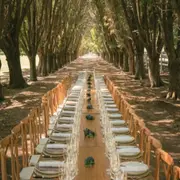 Cuánto cuesta comer en los restaurantes de Mendoza que ganaron estrellas Michelin: conocé los precios.