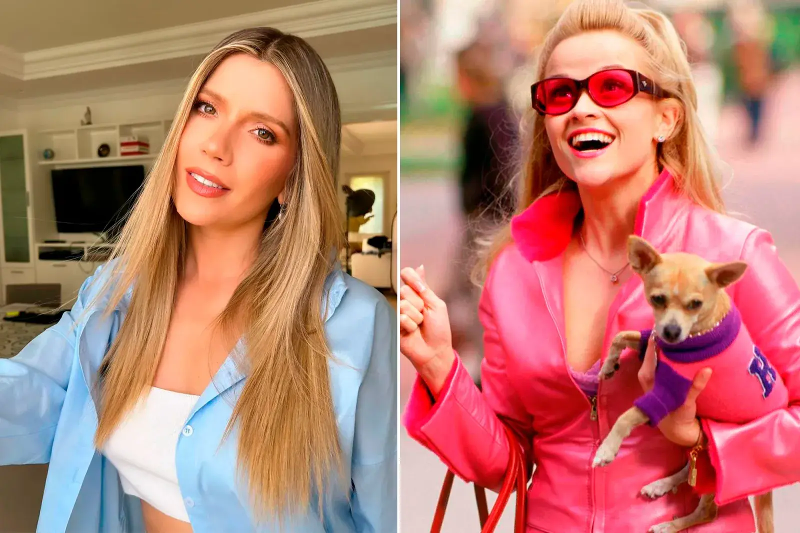 Laurita Fernández será Legalmente rubia.