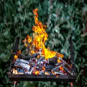 Las cenizas contienen magnesio, fósforo, calcio entre otros nutrientes.