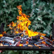 Las cenizas contienen magnesio, fósforo, calcio entre otros nutrientes.