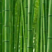 Sumar el bambú a tu dieta puede traer muchísimos beneficios.