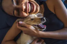 Cómo cuidar a tus mascotas de la piroctenia.