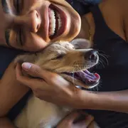 Cómo cuidar a tus mascotas de la piroctenia.