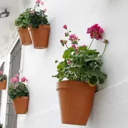 Decorar paredes con plantas y flores aporta un detalle fresco que enamora