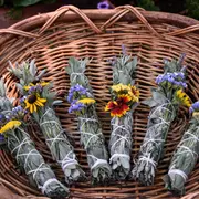 Fundación Española del Corazón (FEC) recomienda sumar en nuestra alimentación a esta potente hierba medicinal.