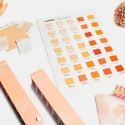 El color del año 2024 es el Peach Fuzz