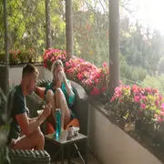 Algunas ideas de plantas con flores para diseñar tu espacio colorido y fresco como un buen antídoto para el calor.