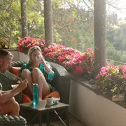 Algunas ideas de plantas con flores para diseñar tu espacio colorido y fresco como un buen antídoto para el calor.