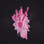 Cuáles son las predicciones 2024 según la astrología india.