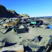 Contaminación urbana: el mal del plástico.