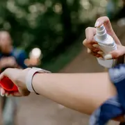 Repelentes para mosquitos: ¿cuál es el mejor?