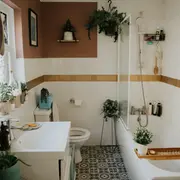 Las plantas que captan la humedad del ambiente pueden ir al baño siempre y cuando tengan luz solar indirecta y riego moderado. y riego moderado.