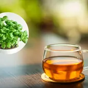 Estos son los beneficios de tomar té de albahaca.