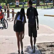 La especie Aedes albifasciatus es la que circula en todo el AMBA.