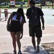 La especie Aedes albifasciatus es la que circula en todo el AMBA.