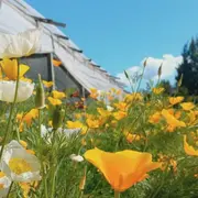 Mizujo Campo Libre es el nombre de la granja ubicada en el partido de La Plata