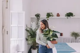 Las mejores plantas para decorar tu casa.