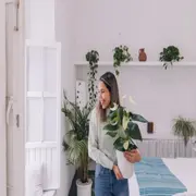 Las mejores plantas para decorar tu casa.