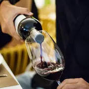 10 etiquetas de vino Malbec que deberías probar.