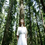 Shinri yoku es la técnica japonesa que te ayudará a equilibrar el estrés.