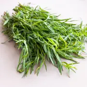 La artemisa es conocida coomo la hierba de las brujas.