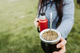 Mate con orégano: ¿cuáles son los beneficios de esta infusión?