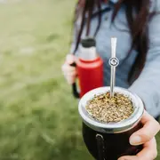 Mate con orégano: ¿cuáles son los beneficios de esta infusión?