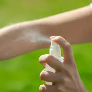 Cuáles son los mejores repelentes caseros para ahuyentar mosquitos.