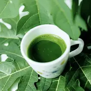 Cuáles son los beneficios de la clorofila en tus plantas.