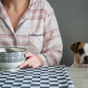 Pijama de invierno, prenda adorada.