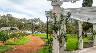 Entregan brotes de rosas en El Rosedal de Palermo.