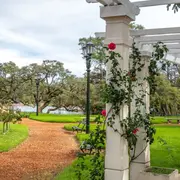 Entregan brotes de rosas en El Rosedal de Palermo.