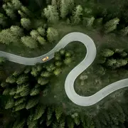 camino con curvas en el medio de un bosque.