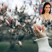 La magnolia fucsia es una de las plantas preferidas de Nati Oreiro