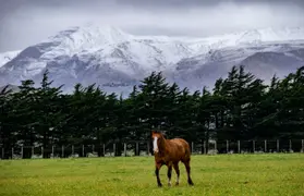 Nevó en Sierra de la Ventana: ¿qué podés hacer si te vas de escapada?