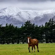 Nevó en Sierra de la Ventana: ¿qué podés hacer si te vas de escapada?