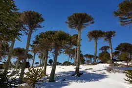 El destino patagónico fue elegido como finalista de un premio de la ONU que reconoce a pueblos rurales de todo el mundo