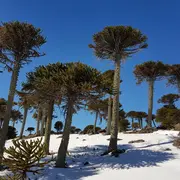El destino patagónico fue elegido como finalista de un premio de la ONU que reconoce a pueblos rurales de todo el mundo