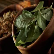 Hojas de laurel en un cuenco.