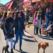 Podés pasar a buscar objetos artesanales hechos en materiales típicos de la zona del delta, como es el junco, el mimbre, la madera de algarroba y pino.
