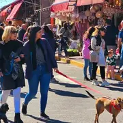 Podés pasar a buscar objetos artesanales hechos en materiales típicos de la zona del delta, como es el junco, el mimbre, la madera de algarroba y pino.