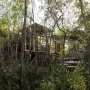 Una casa a orillas del Paraná que se mete en medio de la vegetación frondosa.