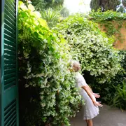 Naturaleza pura: el mejor aromatizador